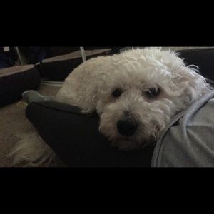 Meet your Posher, Carly